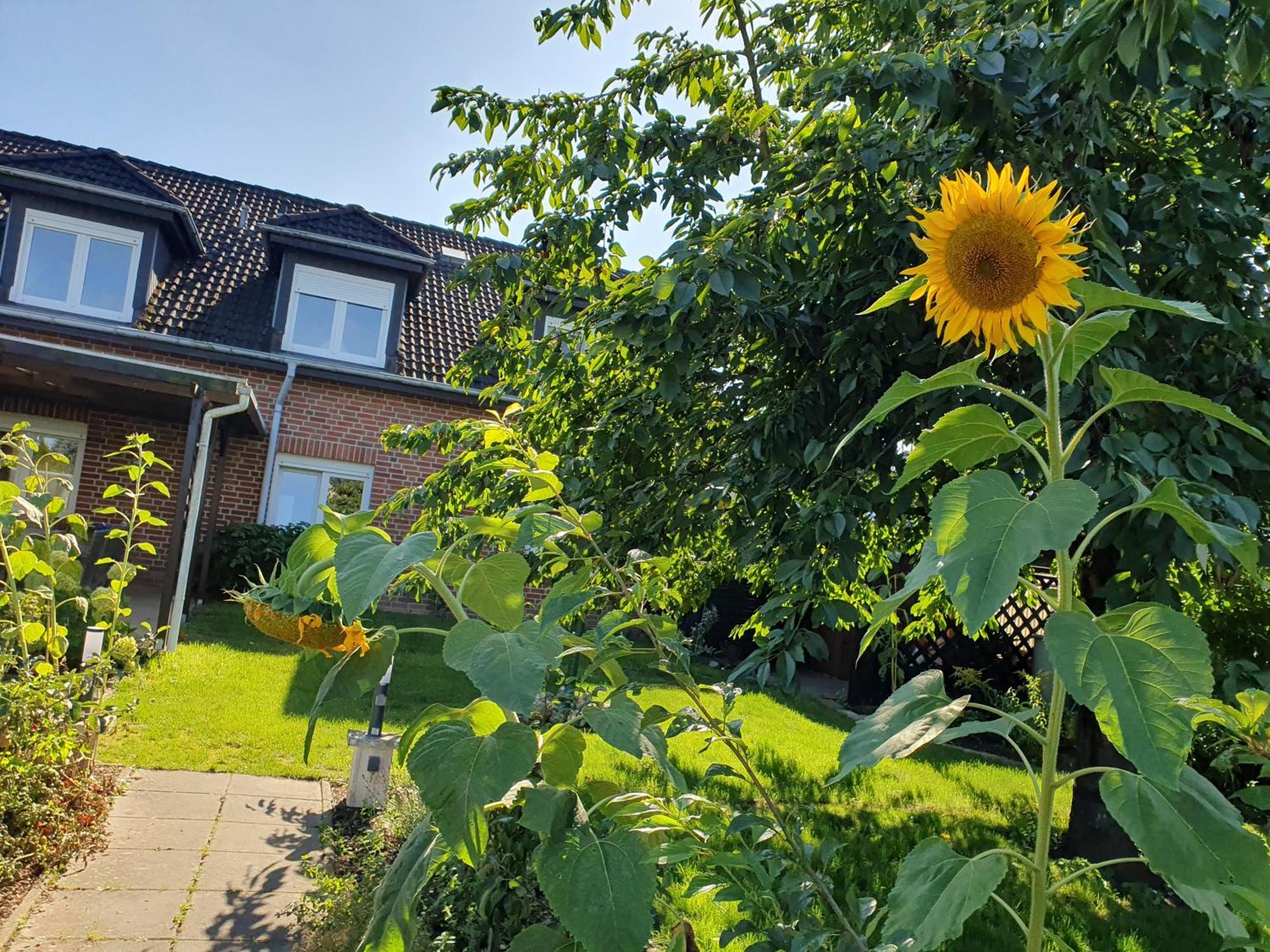 Neumuhler Hof Ferienwohnung "Stefan" Bietet 4 Schlafzimmer Und 4 Bader , Eine Grosse Badewanne Und Grosser Terrasse Zum Garten, Kostenfreie Parkmoglichkeiten Schwerin  Dış mekan fotoğraf